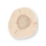 Sitzfläche des massiven Holzstamm Hockers aus Esche - BLOCK von Jan Kurtz