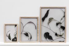 Holzrahmen FRAME von Moebe - wahlweise erhältlich in Größen A3, A4, A5 und den verschiedenen FLOATING LEAVES Postern Holzrahmen in A3, A4, A5 mit FLOATING LEAVES Poster - FRAME von Moebe