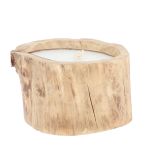 Das aus massiver Teakholzwurzel bestehende Windlicht FLOWER von Jan Kurtz ist witterungsbeständig gut geeignet für jeden Outdoorbereich Jan Kurtz FLOWER Windlicht aus Massivholz