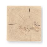 Sitzfläche des massiven Baumstamm Hockers BLOCK eckig von Jan Kurtz Sitzfläche massiver Baumstamm Hocker BLOCK eckig von Jan Kurtz