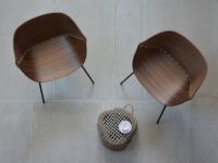 Moderner Holzstuhl GOSSIP mit Armlehnen von Jan Kurtz  Holzstuhl mit Armlehnen - GOSSIP von Jan Kurtz