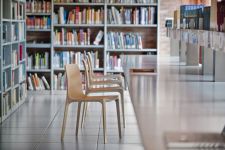 FRIDA ist ein vielseitig einsetzbarer Stuhl im eleganten italienischen Design. Ideal zur Verschönung Ihres Büros. FRIDA - vielseitiger Stuhl aus Holz im italienisches Design - Pedrali