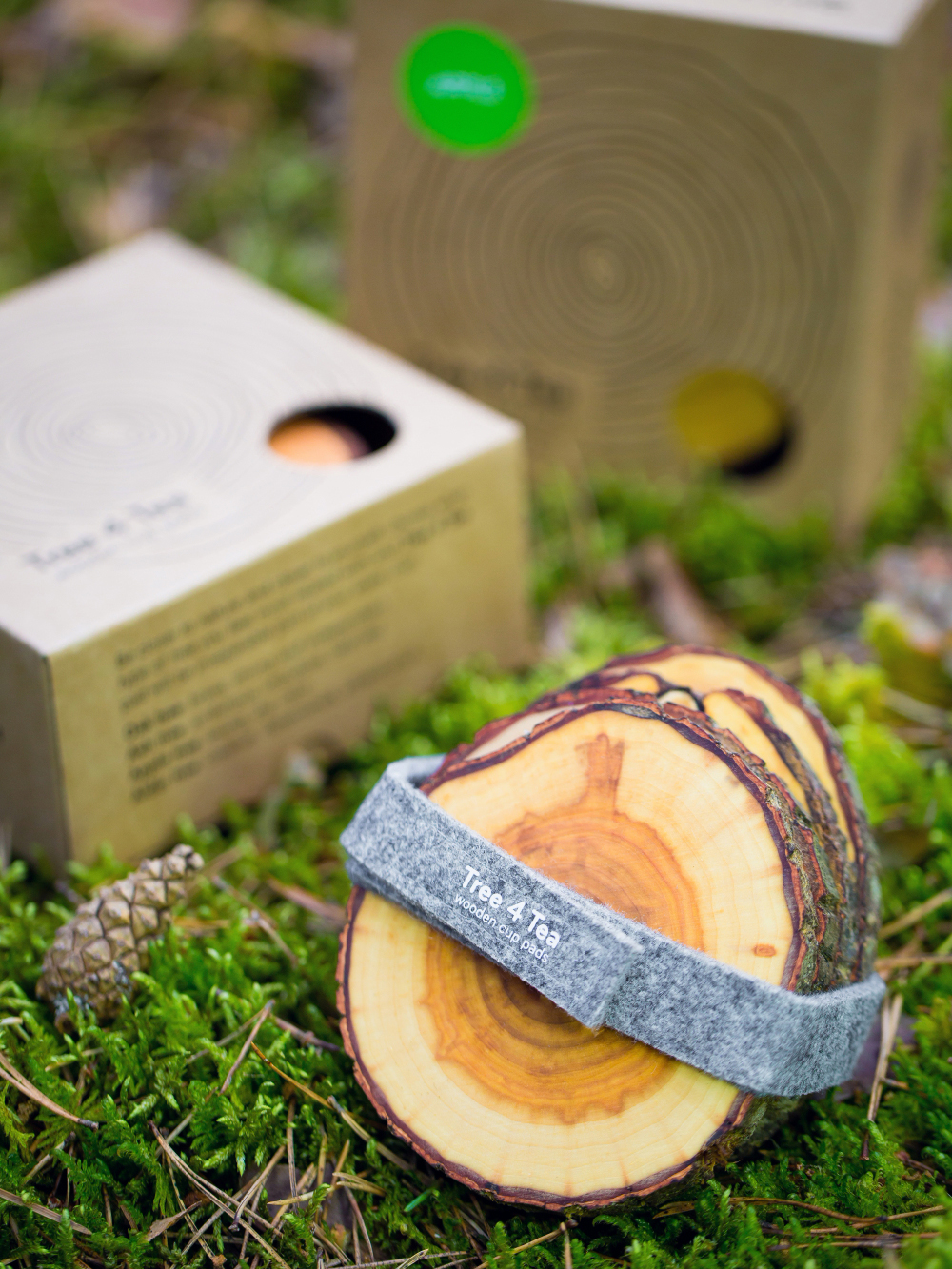 Untersetzer aus Holz TREE4TEE von Rio Lindo | HolzDesignPur