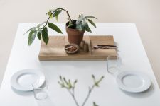 Ablageschale und Dekoschale aus Holz - TRAY von Stattmann neue Möbel Ablageschale und Dekoschale aus Holz - TRAY von Stattmann neue Möbel