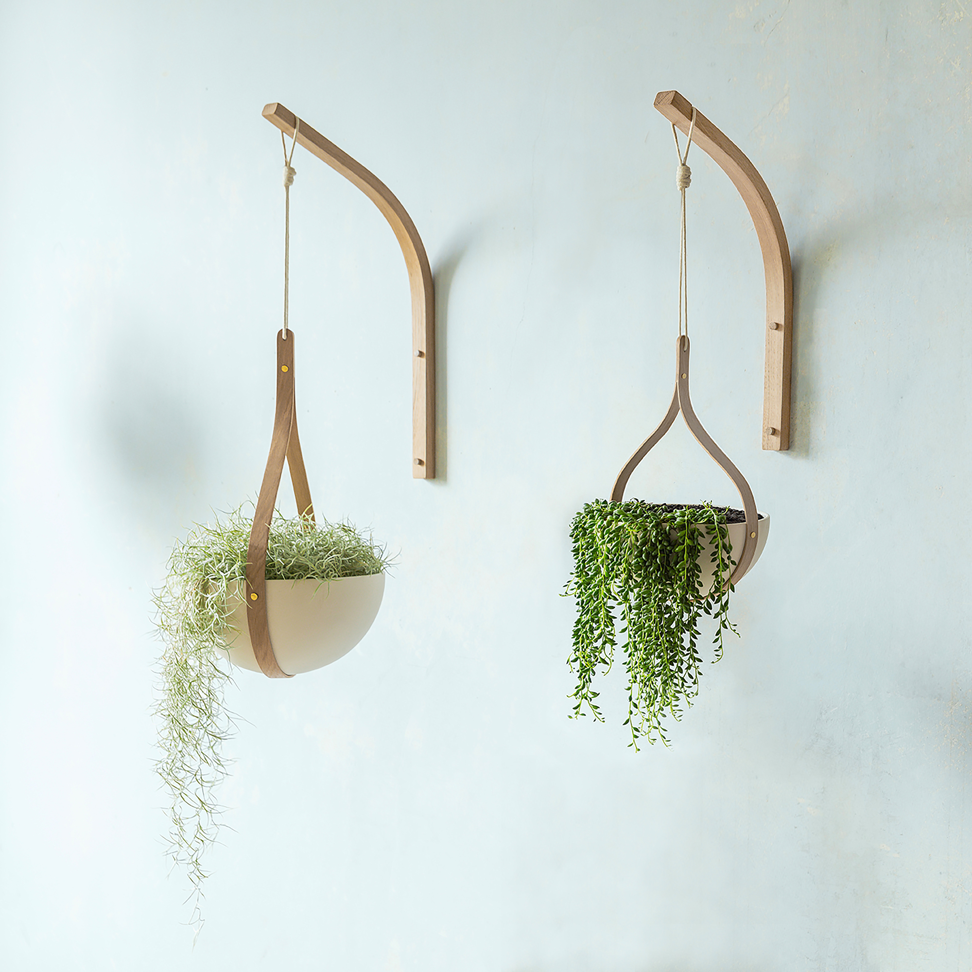Hängende Blumentöpfe MORVAH SMALL HANGING PLANTER von Tom Raffield