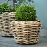 Der Pflanzkorb PALAU aus geflochtenem Rattan ist mit einem Kunststoffinnentopf ausgestattet und kann so direkt bepflanzt werden PALAU von Jan Kurtz - großer Pflanzkorb aus Rattan für den Outdoor-Bereich