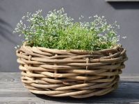 Der kleine Pflanztopf PALAU von Jan Kurtz misst 40 x 20 cm und lässt sich individuell bepflanzen  Jan Kurtz - PALAU kleiner Pflanzkorb aus Rattan