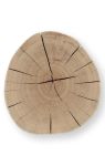 Sitzfläche des massiven Hockers BLOCK aus einem Baumstamm der Eiche von Jan Kurtz Sitzfläche des massiven Hocker aus einem Baumstamm - BLOCK rund von JAn Kurtz
