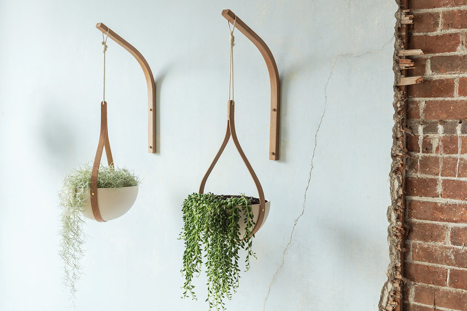 Hängender Blumentopf MORVAH für die Wand von Tom Raffield HolzDesignPur