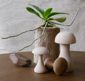 Deko-Pilze FUNGHI